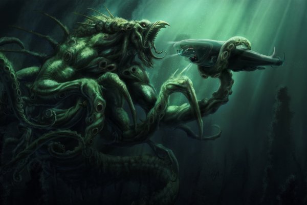 Kraken biz