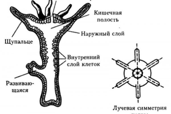 Кракен сайт 1kraken me официальный