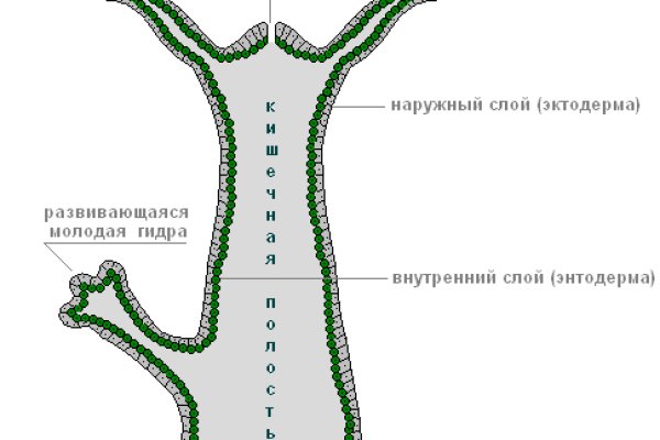 Как зарегаться в кракен