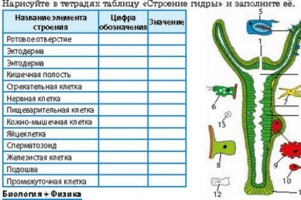 Кракен ссылка онион зеркало